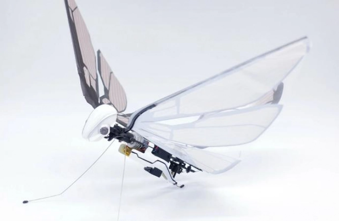 Bioniczny dron - latająca maszyna wyjęta z natury